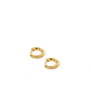 Load image into Gallery viewer, Scarlett Hoop Earrings