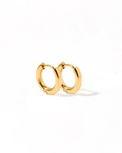 Load image into Gallery viewer, Scarlett Hoop Earrings